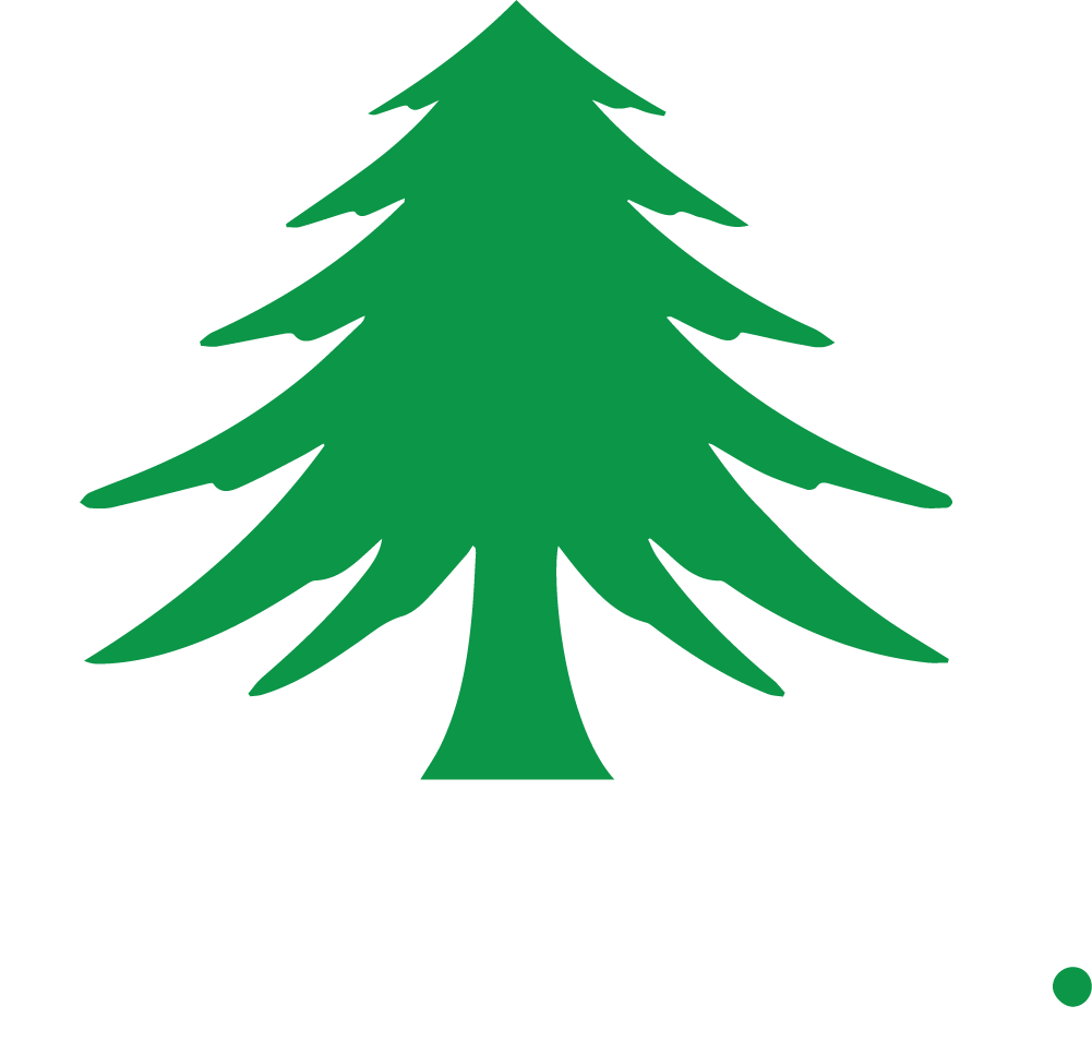 Pine City